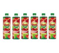 Raak Strawberry Lemonade Fruit Sciroppo Sirup 750ML