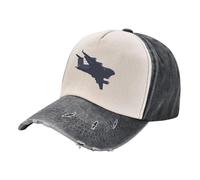 RAAXIHL Inverno Caldo Cotone C-17 Globemaster Regalo di Modo Un Cappello da Baseball Lavato
