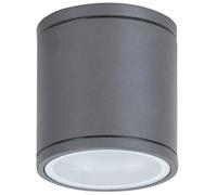 Rabalux Akron lampada da soffitto per esterni 1x35 W antracite 8150