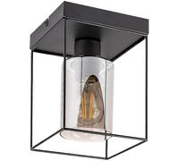 Rabalux Chadwick lampada da soffitto 1x25 W nero-fumé 71031