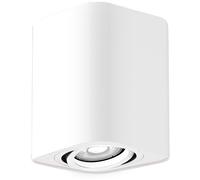 Rabalux Kobald lampada da soffitto 1x42 W bianco 2050