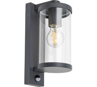 Rabalux Silistra lampada da parete per esterni 1x60 W trasparente-antracite 7892