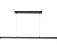 Rabalux Tariq lampada sospesa 1x30 W nero 72128