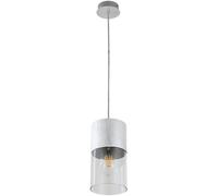 Rabalux Zelkova lampada sospesa 1x40 W trasparente-alluminio 3154