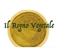 RABARBARO Radice Polvere Depurazione Fegato Intestino Pigro 100/500/1Kg