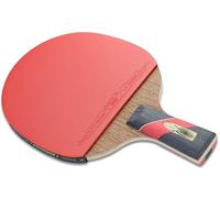 Racchetta da ping pong professionale con custodia, 5 lame in legno + 2 in carbonio(B)