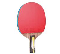 racchette da ping pong, Set Allround Professional Intermediate Amateur Training 6 Stelle(Short handle)