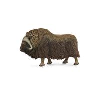 Raccogli una figura realistica di bue muschiato con replica animale grande, dai