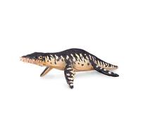 Raccogli una figura realistica di Liopleurodon con replica animale di grandi dim