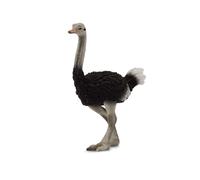 Raccogli una figura realistica di struzzo con replica animale di grandi dimensio