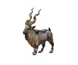 Raccogli una figura realistica di Tadjik Markhor con replica animale grande, dai