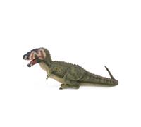 Raccogli una replica animale realistica del dinosauro Daspletosaurus di grandi d
