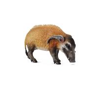 Raccogli una replica animale realistica di Red River Hog Figure Large dai 3 anni