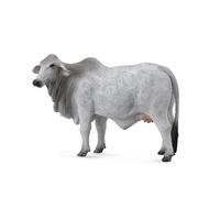 Raccogli una replica realistica di animali della mucca Brahman, action figure di