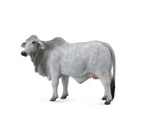 Raccogli una replica realistica di animali della mucca Brahman, action figure di