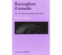 Raccogliere il mondo. Per una fenomenologia della rete