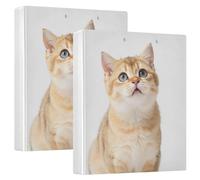 Raccoglitore a 3 anelli, 2 pezzi, 3,8 cm, con tasche interne, confezione da 1/2, per studenti universitari, 200 fogli, motivo: gattino soriano arancione dagli occhi grandi