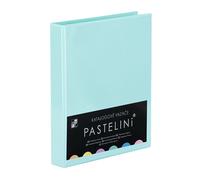 Raccoglitore cataloghi A4 PASTELINI verde
