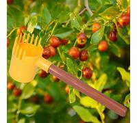 Raccoglitore Di Frutta Portatile Per La Raccolta Di Castagne, Noci E Mirtilli
