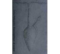 Raccoglitore di sogni. Ediz. illustrata