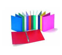 Raccoglitore FAVORIT Europa 29,5x32 cm 4 100460443