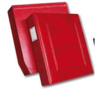Raccoglitore fogli UNI Masterphil BIG per monete completo di Custodia