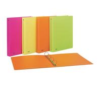 Raccoglitore Neon Favorit - A4 - 4 Anelli Tondi 15 mm - Dorso 3 cm - 400090369 (