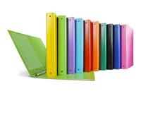 Raccoglitore Sei Rota Nettuno - 4 anelli conf. 10 pz colori assortiti - 36803199