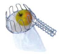 raccoglitori di frutta