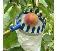 Raccoglitrice di frutta con cesto di raccolta, solo per mele, arance e