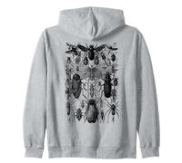 Raccolta di Insetti Specie Insetti Entomologia Vintage Felpa con Cappuccio