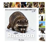 Raccoon Calendar - Planner a , 12