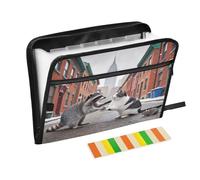 Raccoon Cat on Street - Cartella portadocumenti espandibile con 13 tasche, con etichette, formato A4, con cerniera