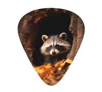 Raccoon in a Tree Hole - Set di 12 plettri per chitarra sottili, medi e spessi, adatti per chitarra, basso, chitarra elettrica e ukulele