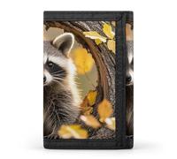 Raccoon in The Fall Tree Hole Portafoglio Portatile Tri Fold Portafoglio con Cerniera Portamonete per Le Donne Auto Di Credito