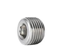 Raccordi for tubi con tappi cavi in acciaio inossidabile 304, filettatura maschio BSPT 1/8"1/4"3/8"1/2" 3/4"1" Pressione di esercizio fino a 6000 psi(1/2")