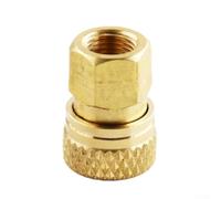 Raccordo a scollegamento rapido per aria con filettatura femmina M10, connettore pneumatico da 8 mm, in ottone, ad alta pressione, accoppiatore per tubo gonfiabile, 5000 PSI industriale (filo interno