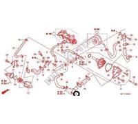 Raccordo a tre vie Honda SilwerWing 400 600