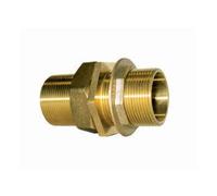 Raccordo per Cisterna filettato IBP Maschio 1 pollice ottone 8535 008000000