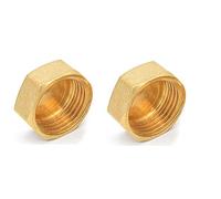Raccordo per tubi in ottone, Adattatore connettore giunto con testa esagonale for tubo in ottone con filettatura maschio in rame da 2 pezzi(Female Plug,G1)
