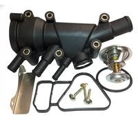 3RG 80311 Termostato motore