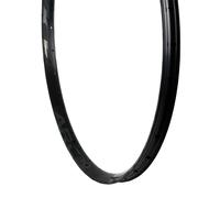 RaceFace ARC 30 Mozzo - 29 Disco Nero 32H Offset