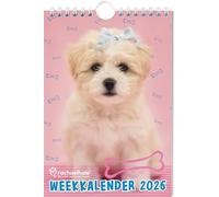 Rachael Hale Honden weekkalender 2026