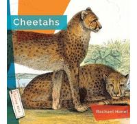 Rachael Hanel Cheetahs (Tascabile)