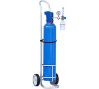 Rack per bombole di gas Scaffale per bombole di ossigeno, Carrello per bombola di gas, Carrello per serbatoio di ossigeno medico con cinghie, Supporto con ruote portatile per contenitore di ossigeno