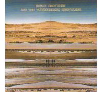 Radar Bros. - And the Surrounding Mountains