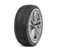 Radar Dimax Alpine 275/45 R20 110V auto Pneumatici invernali Pneumatici RASYCN0836