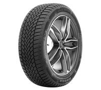 RADAR DIMAX WINTER EVC 195/55 R16 87H TL M+S 3PMSF