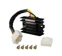 Raddrizzatore Regolatore Tensione Regolatore Di Tensione Raddrizzatore Per Suzuki Per QuadRunner 160 250 KingQuad 300 DR-Z250 LT160E LTF160 LTF250 300 32800-19B11