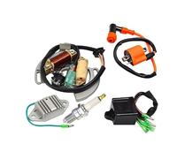 Raddrizzatore Tensione Bobina di Accensione Spark CDI Box Regolatore di Tensione Raddrizzatore Statore Kit per YFS200 1997-2001 Parti del Generatore